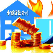 丽水无抵押无担保信用_234