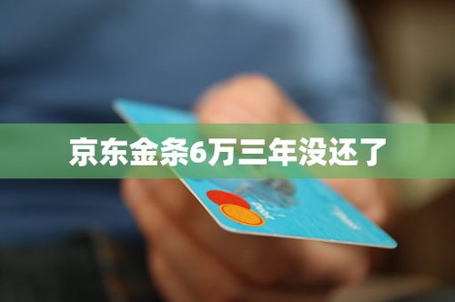 京东金条6万三年没还了