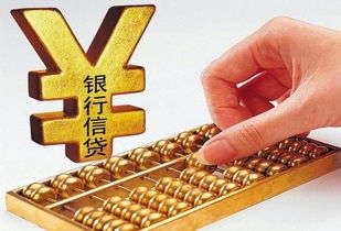 中国融资网,质量不打折