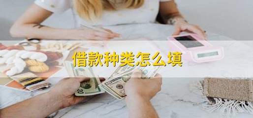借款种类怎么填,按照借款类型如实填写