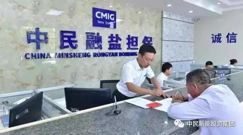 一只滩羊的信用担保故事