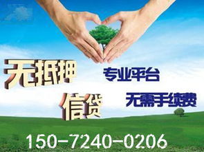 阳逻信用借贷公司 信用担保服务解析