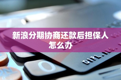 新浪分期协商还款后，信用担保人如何应对与解除担保责任？